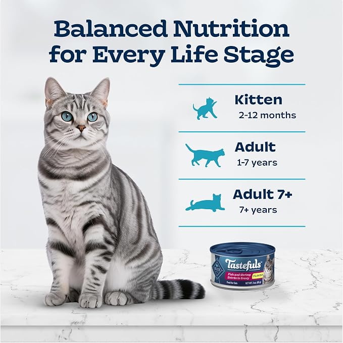 Blue Buffalo Tastefuls Natural Wet Cat Food Cans, Flaked Style, Fish and Shrimp Entrée in Gravy 3-oz Cans (Pack of 4)
