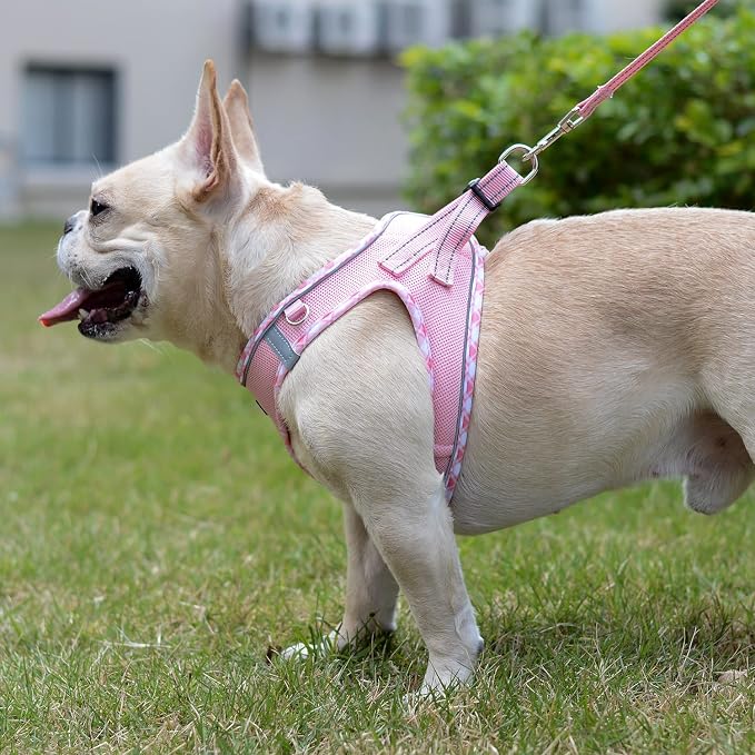 Mercano Soft Mesh Dog Harness and Leash Set, Step-in Reflective Breathable Lightweight Vest Harnesses with Safety Buckle for Small Dogs, Cats (Pink, M)