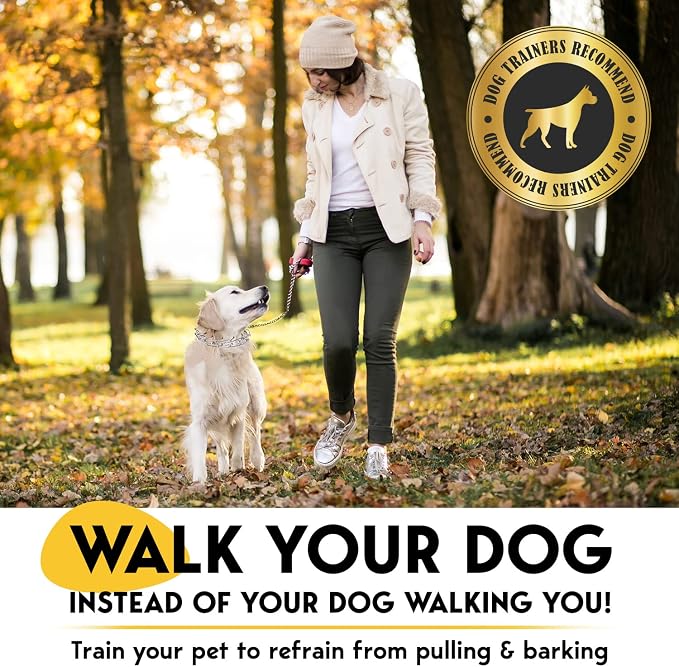 PetJett Prong Collar for Dogs - Choke Collar for Dogs, Pinch Collar for Dog Adjustable No Pull Dog Collar - Training Collar for Small Medium Large Dog Safety Durable Stainless Steel Metal Choker Chain