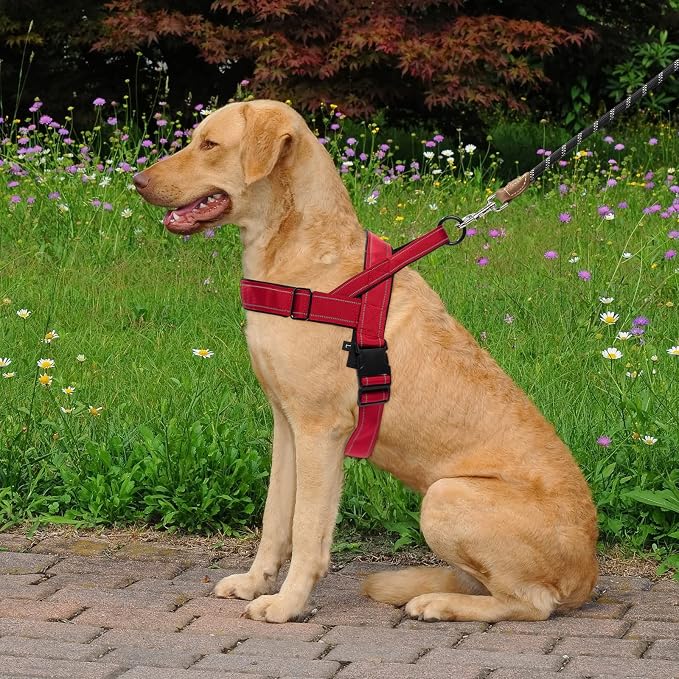 Red No Pull Dog Harness for Small Medium Large Sized Dog, Reflective Escape Proof Adjustable Dog Harnesses with 2 Patch, M