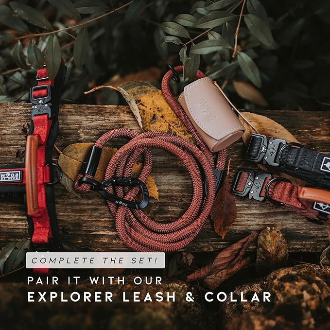 MADE TO ROAM Premium Explorer Harness - Y-Shaped Dog Harness with Adjustable Durable Nylon, Soft Padding, Metal Buckles and Leather Handle for Small, Medium, Large Dogs (New York Afterlight, Size 4)