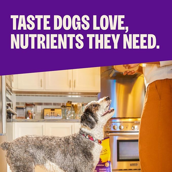 Wellness Complete Health Adult Dry Dog Food, Wholesome Grain Kibble, Natural, Beef and Barley Recipe, 5 lb Bag