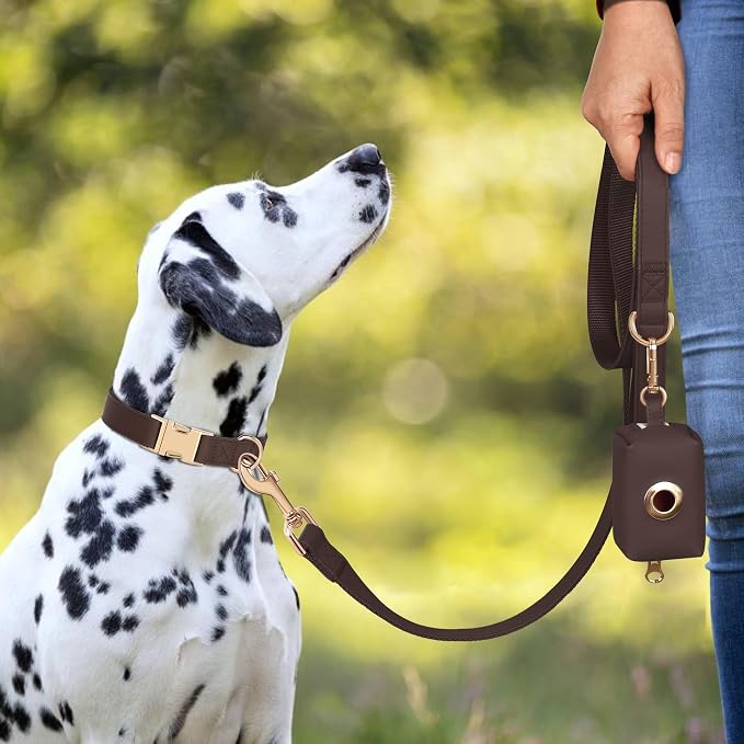PET ARTIST PU Leather Dog Collar, Bright & Stylish Brown Dog Collar with Quick Release Gold Metal Buckle, Soft Nylon Padded Durable Pet Collars Adjustable for Small Dogs, Neck Fit 9-14"