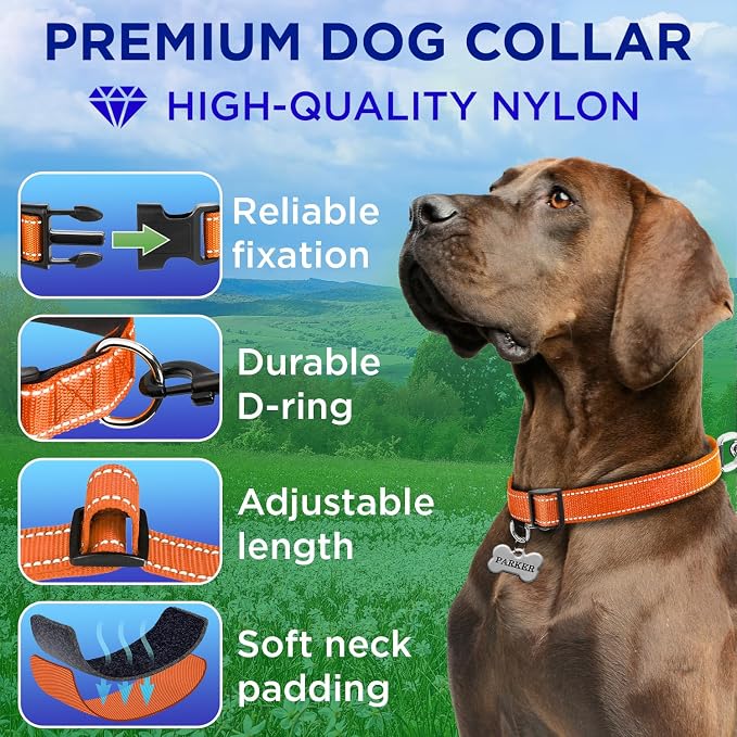TECEUM Reflective Dog Collar – Orange – M – Extra Soft Padding – Basic Nylon Pet Collar – Quick Release Buckle – Fits Small, Medium and Large Dogs, Puppies, Cats – ESA & Service Dog Options