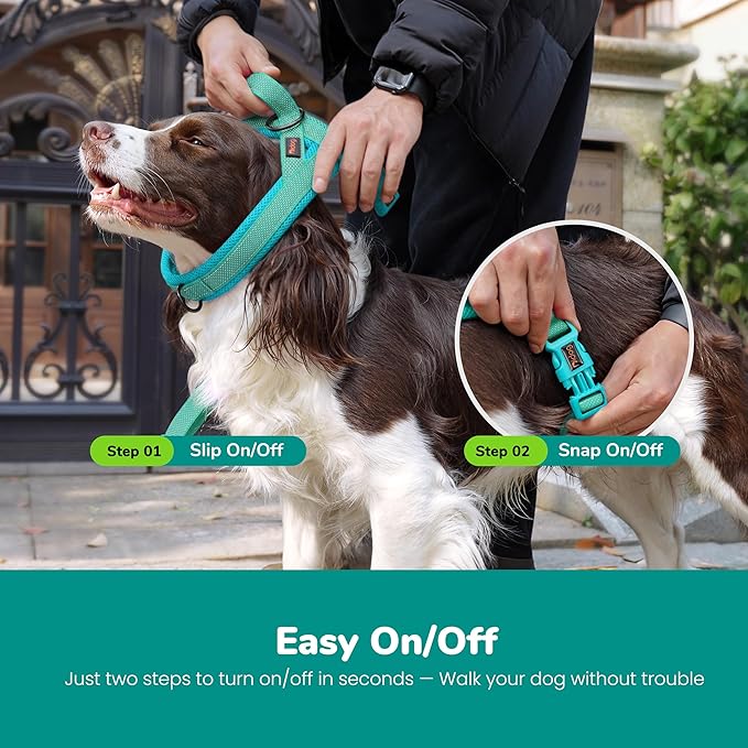 Didog No Pull Dog Harness with Breathable Mesh Padded, Full Reflective & Quick Fit Adjustable Vest Harness, Easy for Training Walking for Small & Medium and Large Dogs (Green, L:Chest 26-32")