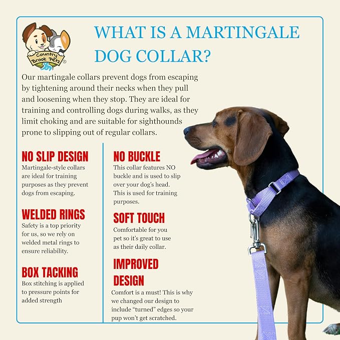 Country Brook Petz - Martingale Dog Collar - Heavy-Duty Training Collar with No Buckle - Service Dog Collar for All Pups - 20 Vibrant Colors (Lavender, 3/4 Inch, Small)
