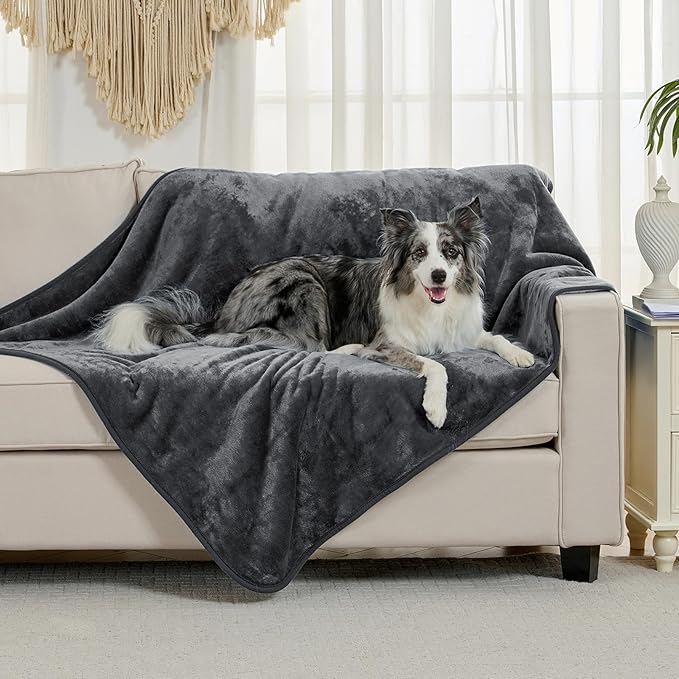 Waterproof Blanket for Bed Couch Sofa, Soft Liquid Pee Proof Pet Blanket for Dog Puppy Cat, Reversible Sherpa Fleece Furniture Protector (Dark Grey, 60x80 inches)