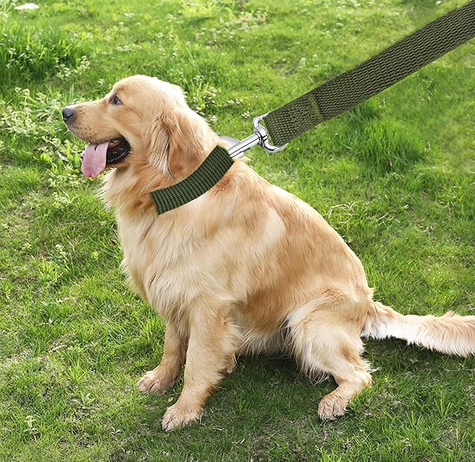 TAIAN 4FT/5FT/6FT Strong Dog Leash, Nylon Dog Leashes for Small Medium Large Dogs (1 in x 4 ft, Green)