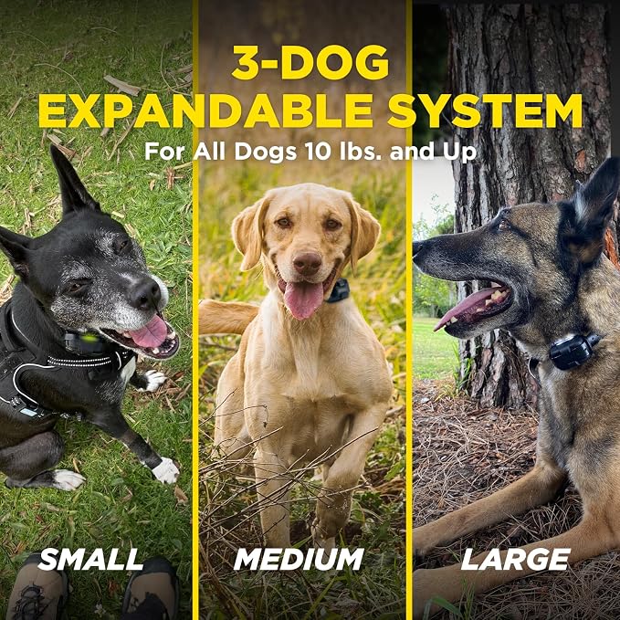 Dogtra 280X 2-Dogs E-Collar with Remote [New Edition] 10 lbs+, 1/2 Mile Range, LED Light, 100 Levels of Control for Stubborn Dogs, Waterproof, Boost for Quick Recall, Vibration, Safety Lock & Tone