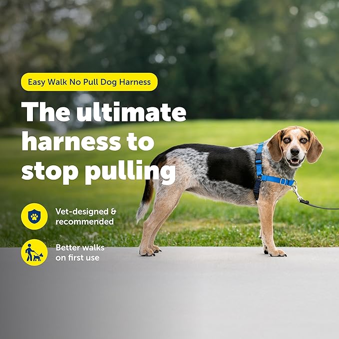 PetSafe Easy Walk No-Pull Dog Harness - Ultimate Harness to Help Stop Pulling - Pull-Free Walks - Take Control & Teach Better Leash Manners - Patented Martingale Loop Design - Royal Blue, Small/Medium