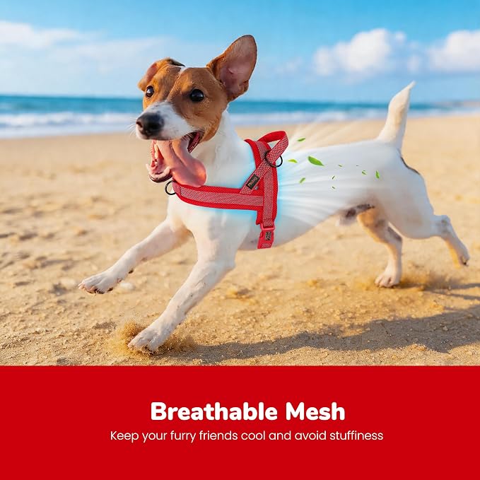 Didog No Pull Dog Harness with Breathable Mesh Padded, Full Reflective & Quick Fit Adjustable Vest Harness, Easy for Training Walking for Small & Medium and Large Dogs (Red, S:Chest 18-22")