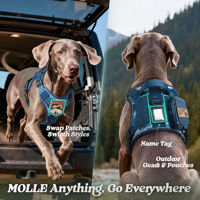 rabbitgoo Dog Harness for Small Dogs No Pull, Tactical Service Pet Vest with Molle and Control Handle, Adjustable and Reflective Military Harness for Easy Walking and Training, Blue Camo, S