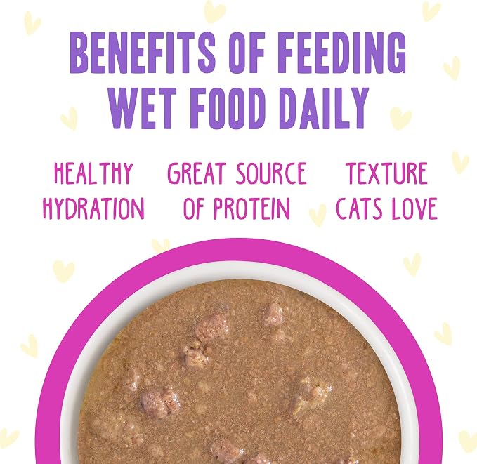 Weruva B.F.F. OMG - Best Feline Friend Oh My Gravy!, Chicken & Duck Dream Team with Chicken & Duck in Gravy, 5.5oz Can (Pack of 8)
