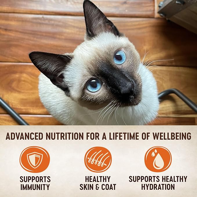 Wellness CORE Tiny Tasters Pate Adult Wet Cat Food, Natural, Protein Rich, Grain Free, Chicken and Beef Recipe, 1.75 oz, Pack of 12 Pouches