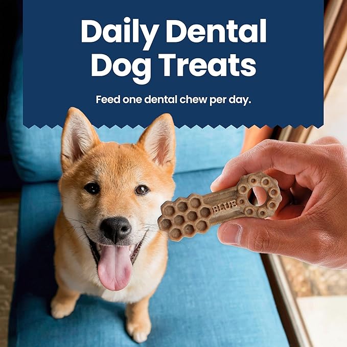 Blue Buffalo Natural Dental Chews for Medium Dogs 20-50 lbs., Chicken & Spearmint, Daily Teeth Cleaning Dog Treats, Enhanced with Vitamins & Minerals, 34.5-oz. Bag (42 Treat Count)