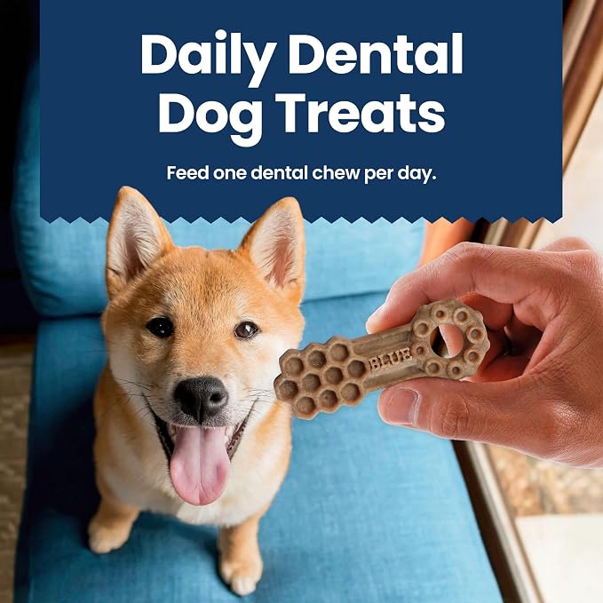 Blue Buffalo Medium Dental Chews for Dogs, Daily Dental Care Dog Treats Made in the USA with Natural Ingredients, Chicken & Spearmint (14 Count) (Pack of 4)