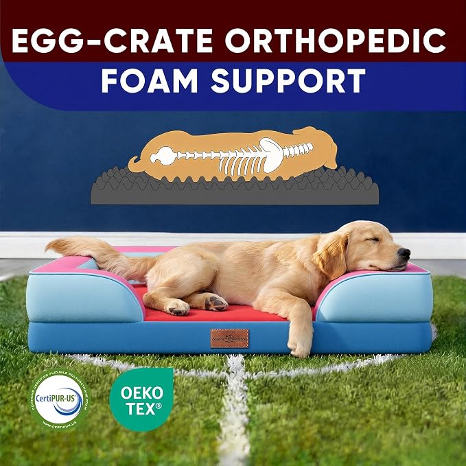 Comfort Expression Orthopedic Dog Bed for Extra Large Dogs 45x35 Inch, Waterproof Egg Crate Foam XL Pet Bed with Bolsters, Dog Couch with Washable Cover & Non-Slip Bottom, Atlanta