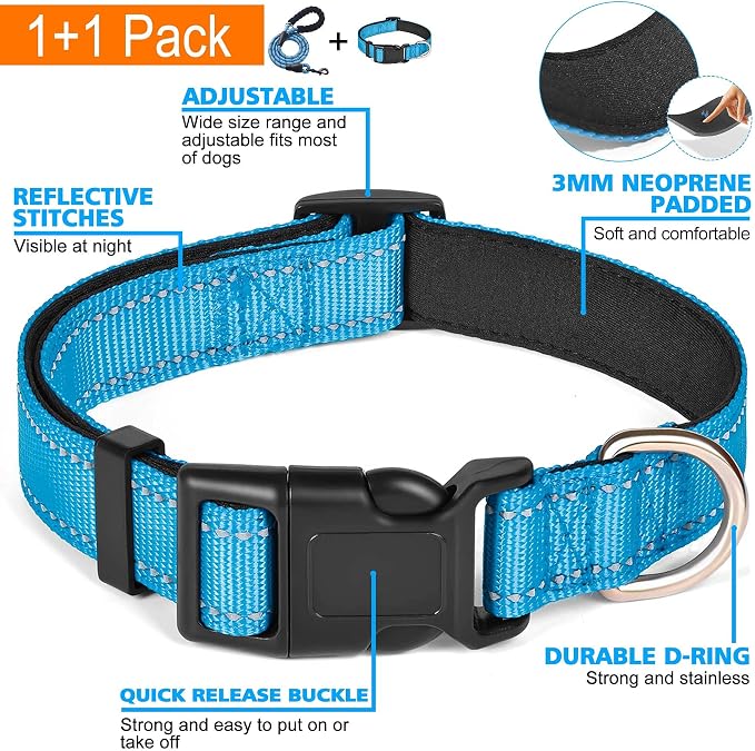 Ladoogo Reflective Dog Collar Padded with Soft Neoprene Breathable Adjustable Nylon Dog Collars for Small Medium Large Dogs (Large (Pack of 1), Vivid Blue Collar+Leash)