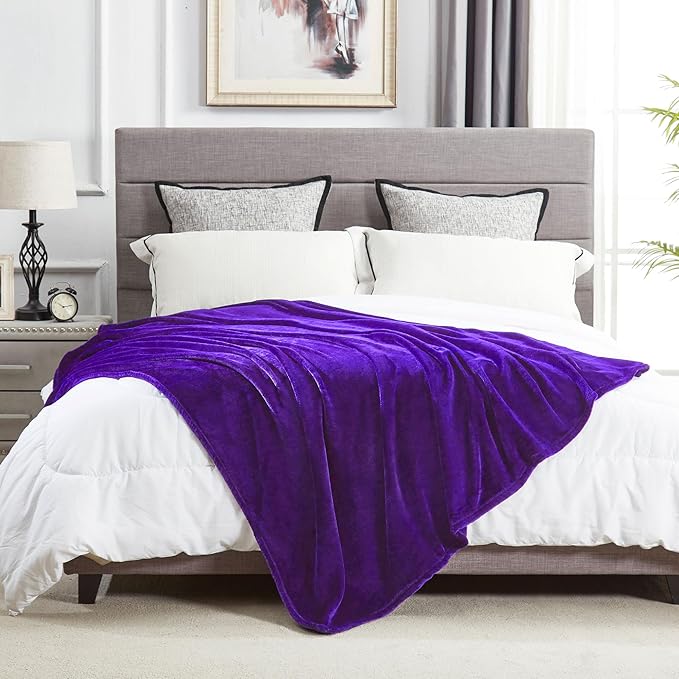 DREAMNINE Super Soft Fuzzy Fleece Throw Blanket for Couch Sofa 50" x 60",Decorative Solid Lightweight Velvet Blanket for Chair, Cozy Accent Shaggy Micro Plush Flannel Blankets for Bedroom Dorm, Purple