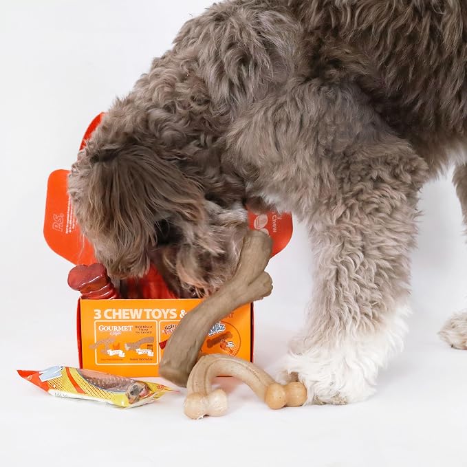 Nylabone Dog Gift Box, Includes 3 Strong Chew Toys and 1 Natural Treat, Gifts for Dogs, Large - Up to 50 lbs, 4 Pack