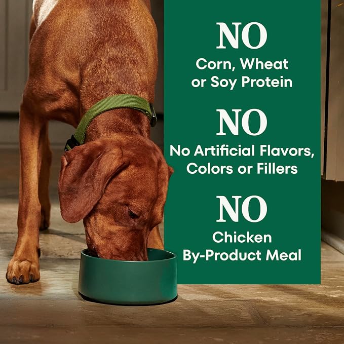 Nutro Natural Choice Dry Dog Food, Adult Dog Food Dry Beef and Brown Rice Recipe, 4.5 lbs.