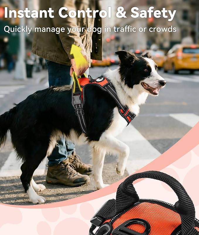 Joytale No Pull Dog Harness Medium Sized Dog, Reflective Pet Vest with Front Clip, Adjustable Soft Padded Harnesses with Easy Control Handle for Training and Walking, Orange, M
