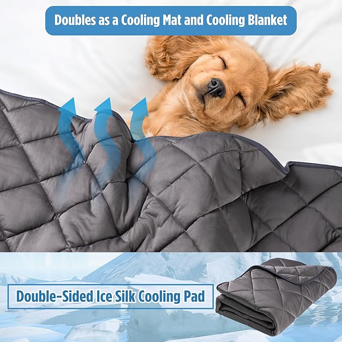 Paw Legend Dog Cool Mat for Dogs & Cats - Cool Tech Fabric, Washable Dog Sleeping Pad for Kennel, Sofa, Floor, Car Seats - Summer Cooling Blanket, Large