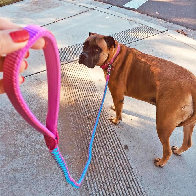 2/3/4/6/10 ft Reflective Dog Leash Strong Nylon Rope Braided Heavy Duty for Large Medium Small Dogs Walking Training Leads (Pink, 6ft * 1/2")