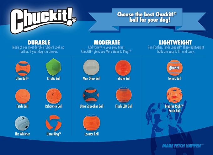 Chuckit! Medium Fetch Ball 2.5", 2 Pack (Colors Vary)
