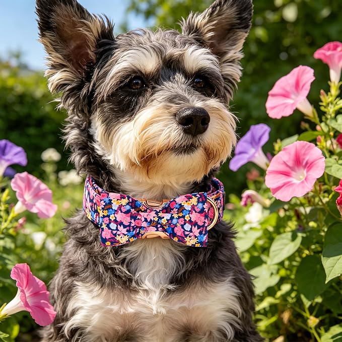 Elegant little tail Dog Collar, Floral Pattern Pet Collars with Bow Girl Cotton Bowtie Collars Spring Puppy Gift Adjustable Pet Collar for Small Dogs