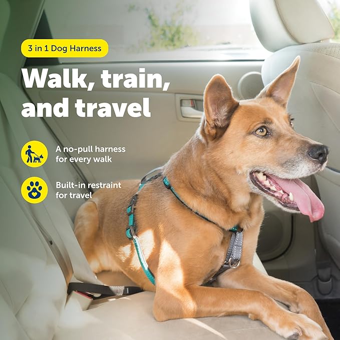PetSafe 3 in 1 No-Pull Dog Harness for Medium Dogs - Walk, Train or Travel - Helps Pets from Pulling on Walks - Seatbelt Loop Doubles as Quick Access Handle - Reflective - Medium, Teal