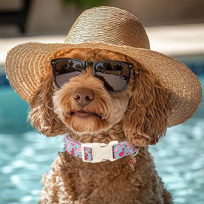 Summer Dog Collar Cute Flamingo Float Dog Collars for Large Dogs - Lightweight Adjustable Male Female Dogs Everyday Collar with Quick Release Buckle L