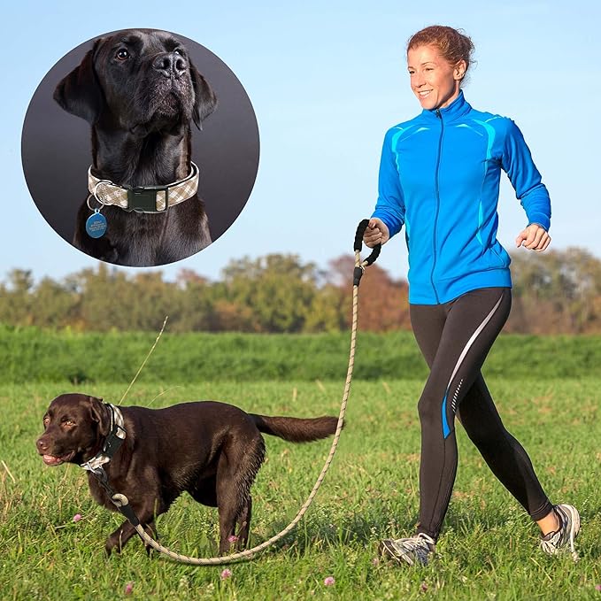 Ladoogo Reflective Dog Collar Padded with Soft Neoprene Breathable Adjustable Nylon Dog Collars for Small Medium Large Dogs (Small (Pack of 1), Vanilla Plaid Collar+Leash)