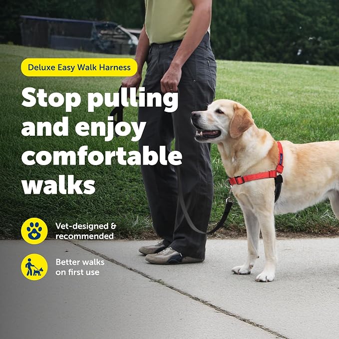 PetSafe Easy Walk Deluxe Dog Harness, No Pull Dog Harness Perfect for Leash & Harness Training Stops Pets from Pulling and Choking on Walks Medium/Large, Rose