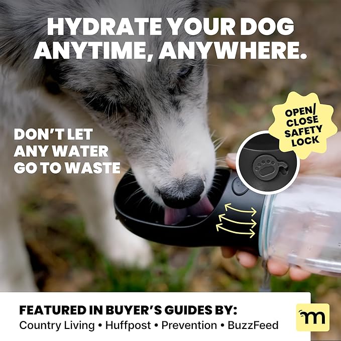 MalsiPree Dog Water Bottle - 19 Oz, Black, BPA-Free - Portable & Lightweight Water Dispenser with Bowl for Dogs - Leak-Proof for Travel, Trail Hiking, Park Visit, Camping & Beach Days