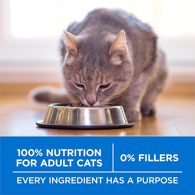 Purina ONE Plus High Protein Cat Food Dry Salmon and Ocean Whitefish Cat Skin and Coat Health Formula - 3.5 lb. Bag