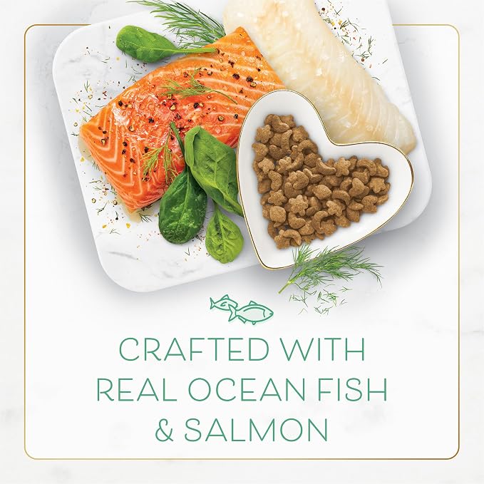 Purina Fancy Feast Dry Cat Food with Ocean Fish and Salmon - (Pack of 4) 16 oz. Bags
