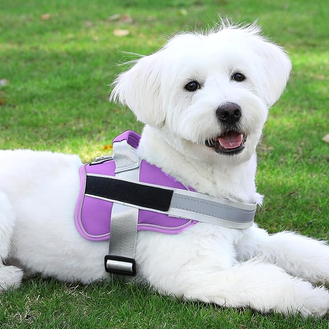Dog Harness, No-Pull Reflective Dog Vest, Breathable Adjustable Pet Harness with Handle for Outdoor Walking - No More Pulling, Tugging or Choking (Lavender, Small (Pack of 1))