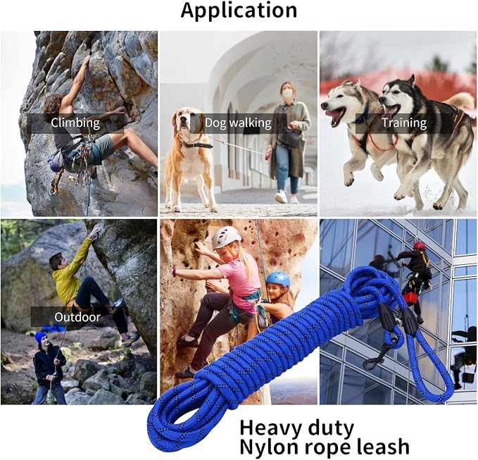 Long Dog Leash for Training 15Ft-Reflective Nylon Rope with Swivel Hook-Recall Agility Lead for Large Small Medium Dogs Outside Walking Hiking-Royal Blue
