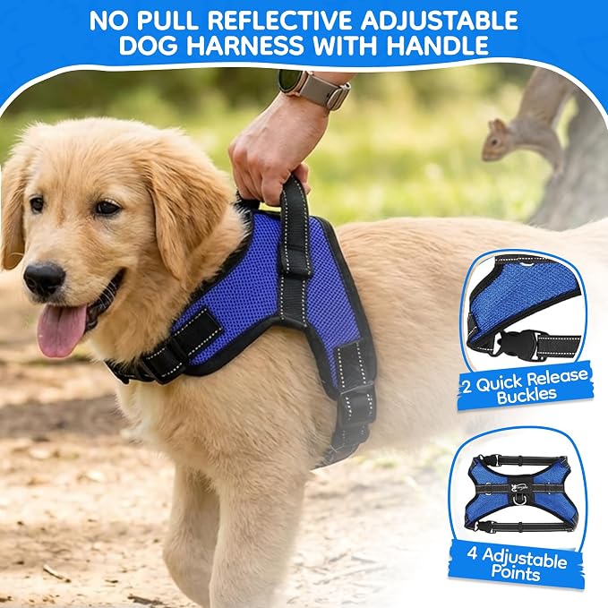No Pull Reflective Adjustable Dog Harness with Handle- Comfortable Soft All Weather Mesh, Easy On Puppy Harness for Small Medium and Large Dogs (Blue) Large