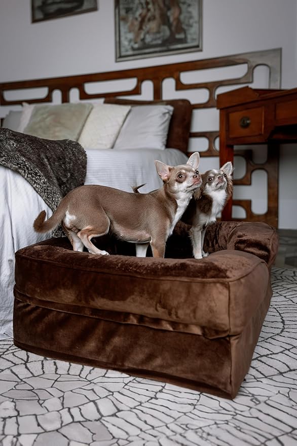 NOAH & PAW Dog Bed, 28x23x11 Inch, Orthopedic Dog Beds for Medium Size Pets, Eggshell Memory Foam Infused with Cooling Gel, Inner Cover, Water Resistant, Machine Washable (Velvet Sofa Collection)