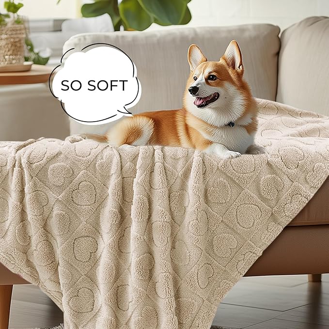 Luciphia Small Dog Blanket Washable Pet Bed Cover Soft Fluffy Puppy Blanket with Premium Fleece 300GSM Cozy Calming Cat Blankets for Indoor Cats Beige 41x31 inch
