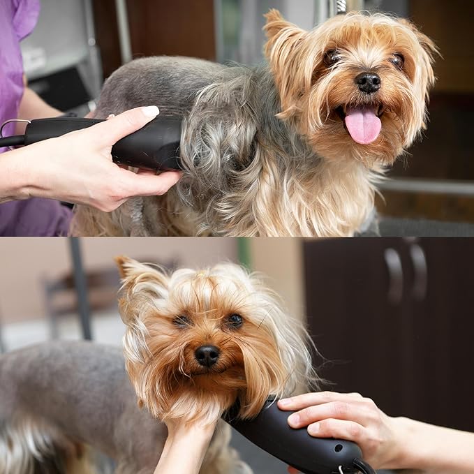 Detachable A Series Wide 40 Blade Dog Grooming Clipper Blades Cuts Length 1/100" 0.25mm Japanese High Carbon Steel Dog Grooming Clipper Replacement Blade | Compatible A5 Series(B40W)