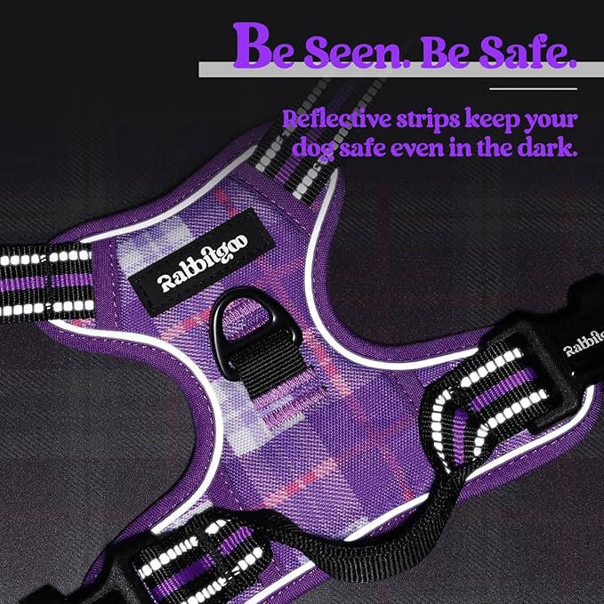 rabbitgoo Dog Harness No Pull with 2 Leash Clips, Adjustable Soft Padded, Reflective Oxford No Choke Pet Vest with Easy Control Handle for Small Dogs, Purple Plaid, S
