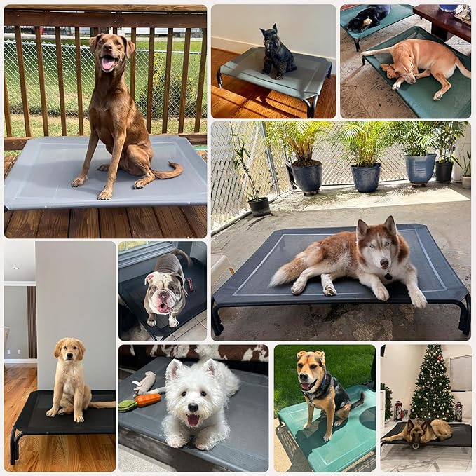 Elevated Dog Bed Raised Outdoor Dog Cot for Extra Large Dogs, Installation Requires No Tools, Frame with Washable Cooling Breathable Mesh Anti-Slip Feet, Indoor Pet Bed, Grey, 48.8 Inches