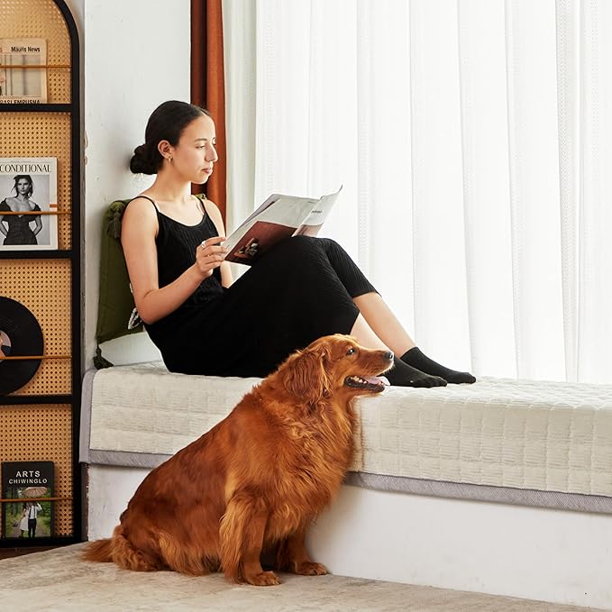 Couch Cover for Dogs Washable,Anti-Slip Back Cat Mat Pet Pad Blanket for Furniture Protector,Fuzzy Pet Sofa Cover for 3 Cushion Couch Sofa Pets Friendly (Ivory, 1pc/36"x58"/Seat Cover)