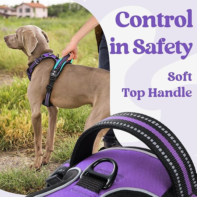 rabbitgoo Dog Harness Medium Sized, No Pull Easy On & Off with 3 Buckles Pet Harness, Adjustable Soft Walking Vest with 2 Clips and Handle, Reflective for Medium Dogs, Purple, M