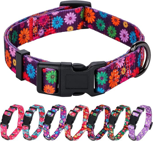 Girl Dog Collars Fall Daisy Pattern, Colorful Flowers Print, Female Collar, Dark Purple, Medium