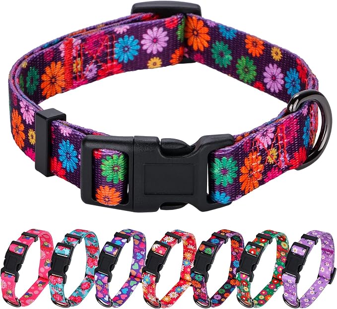 Girl Dog Collars Fall Daisy Pattern, Colorful Flowers Print, Female Collar, Dark Purple, Small