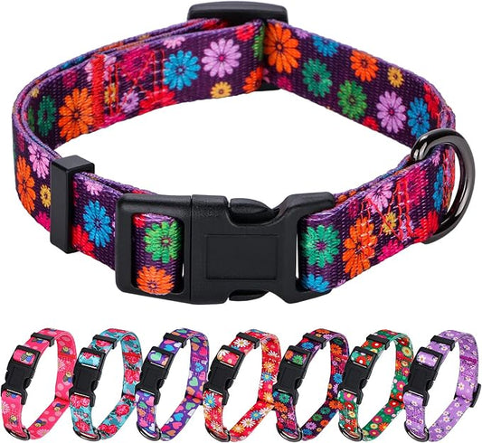 Girl Dog Collars Fall Daisy Pattern, Colorful Flowers Print, Female Collar, Dark Purple, Small